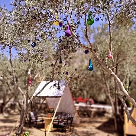 מלון Goecek Bungalow 3*